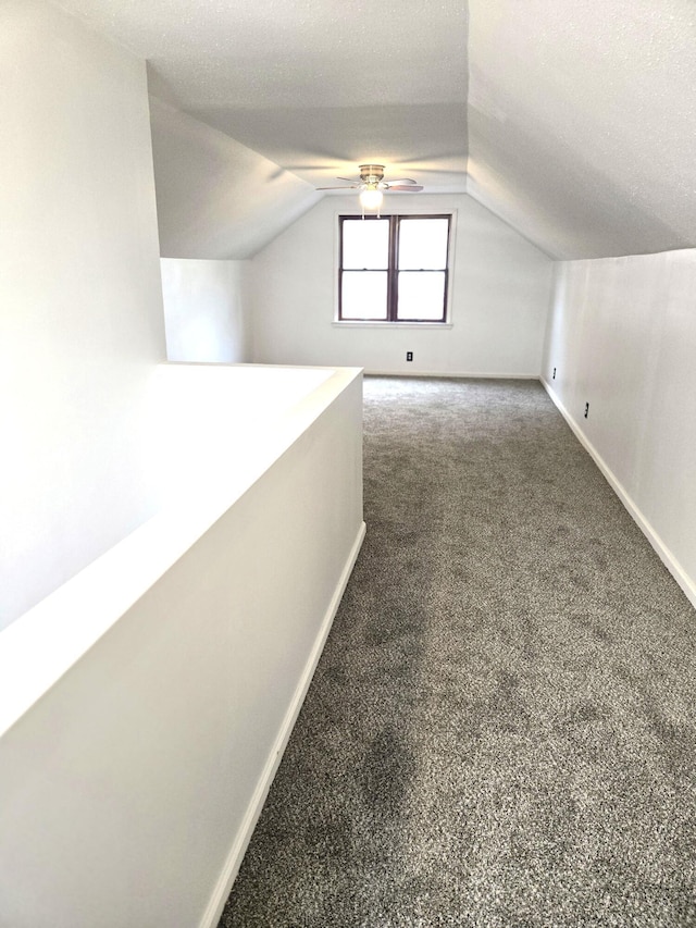 18000 Ilene St, Detroit, MI 48221 - photo 17
