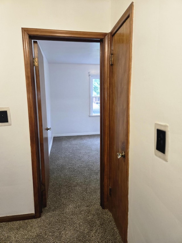 18000 Ilene St, Detroit, MI 48221 - photo 29