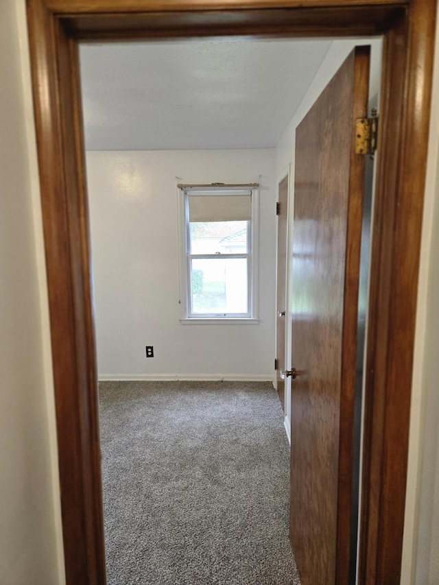18000 Ilene St, Detroit, MI 48221 - photo 43