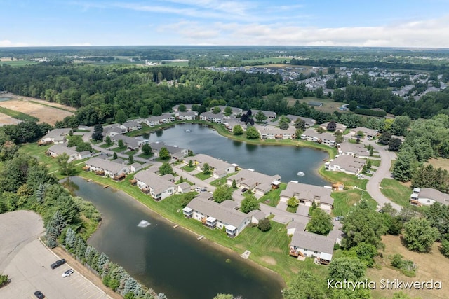 6084 Crystal Dr, Allendale, MI 49401 - photo 26