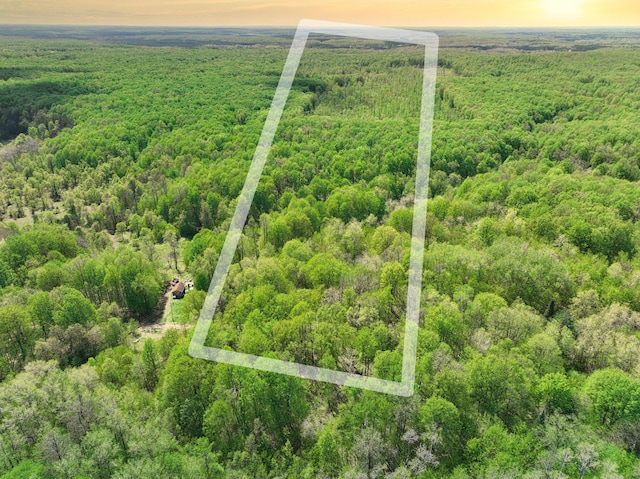 VL N Partridge Ln, Mancelona, MI 49659 - photo 1