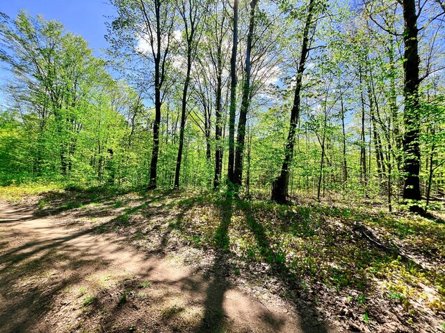 VL N Partridge Ln, Mancelona, MI 49659 - photo 6