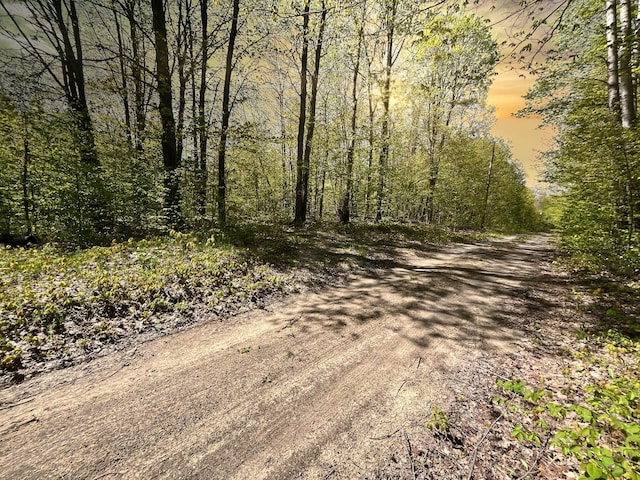 VL N Partridge Ln, Mancelona, MI 49659 - photo 7