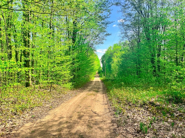 VL N Partridge Ln, Mancelona, MI 49659 - photo 4