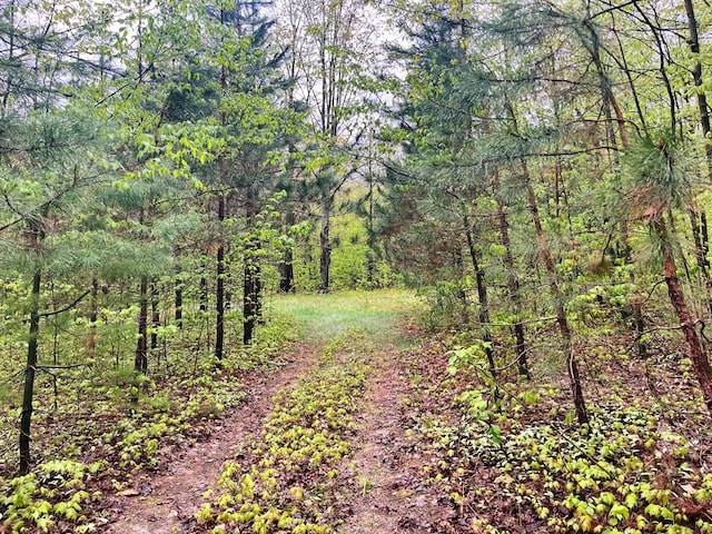 VL N Partridge Ln, Mancelona, MI 49659 - photo 5