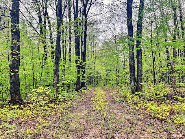 VL N Partridge Ln, Mancelona, MI 49659 - photo 8