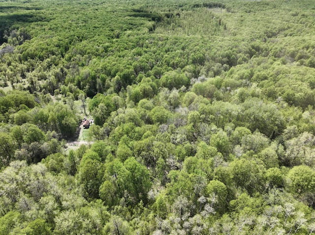 VL N Partridge Ln, Mancelona, MI 49659 - photo 10