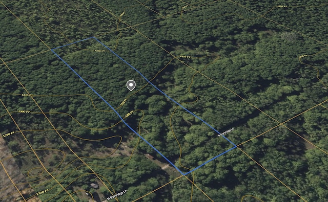 VL N Partridge Ln, Mancelona, MI 49659 - photo 13