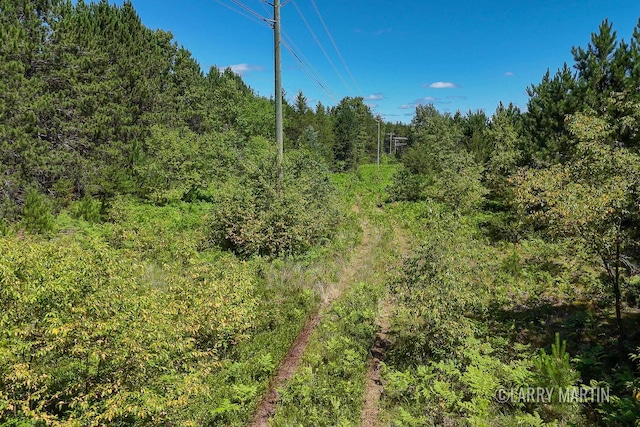 4608 N Spruce Ave, White Cloud, MI 49349 - photo 4