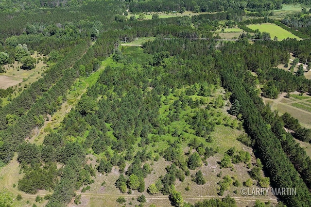 4608 N Spruce Ave, White Cloud, MI 49349 - photo 5