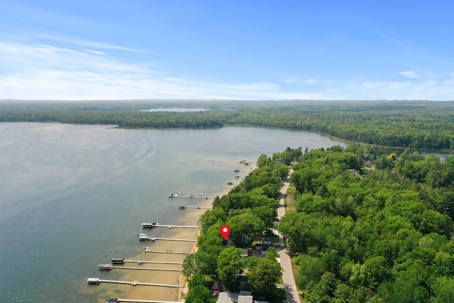7579 W White Birch Ave, Lake City, MI 49651 - photo 53