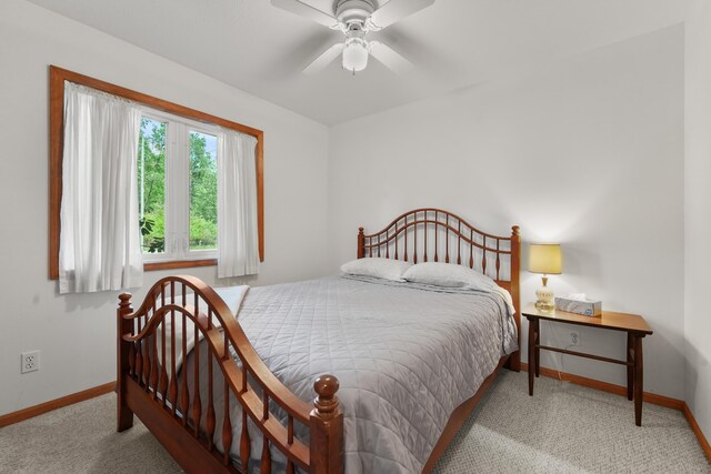 7579 W White Birch Ave, Lake City, MI 49651 - photo 33