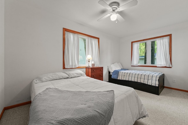 7579 W White Birch Ave, Lake City, MI 49651 - photo 35