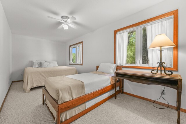 7579 W White Birch Ave, Lake City, MI 49651 - photo 44