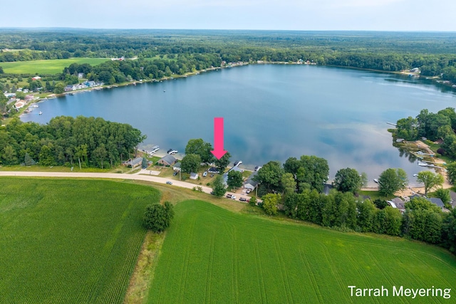 2671 W Mayo Dr, Fremont, MI 49412 - photo 4