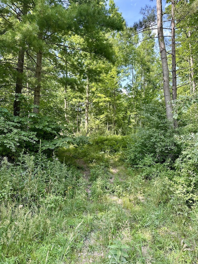 V/L E Decker Rd, Branch, MI 49402 - photo 1