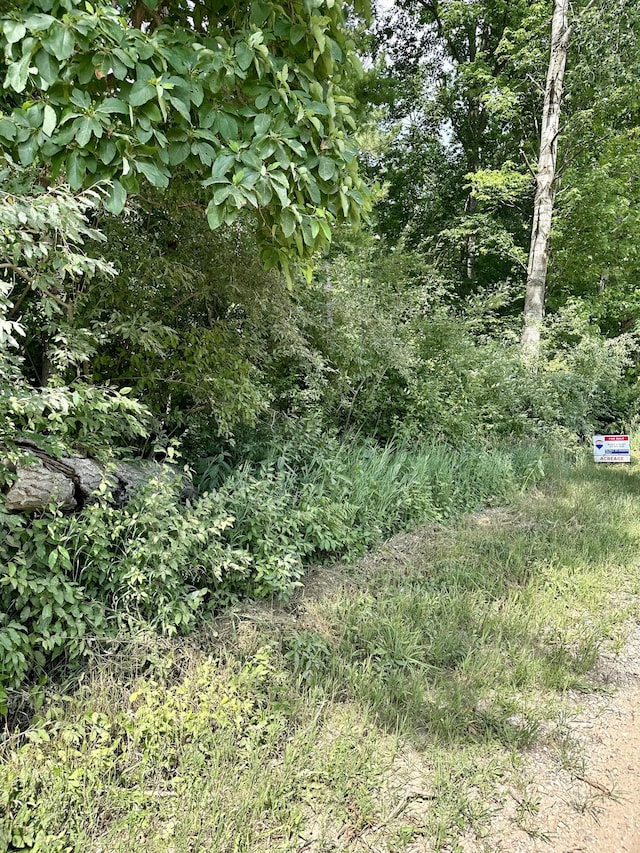 V/L E Decker Rd, Branch, MI 49402 - photo 3