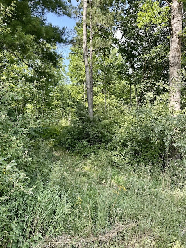 V/L E Decker Rd, Branch, MI 49402 - photo 4