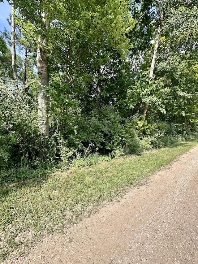 V/L E Decker Rd, Branch, MI 49402 - photo 5