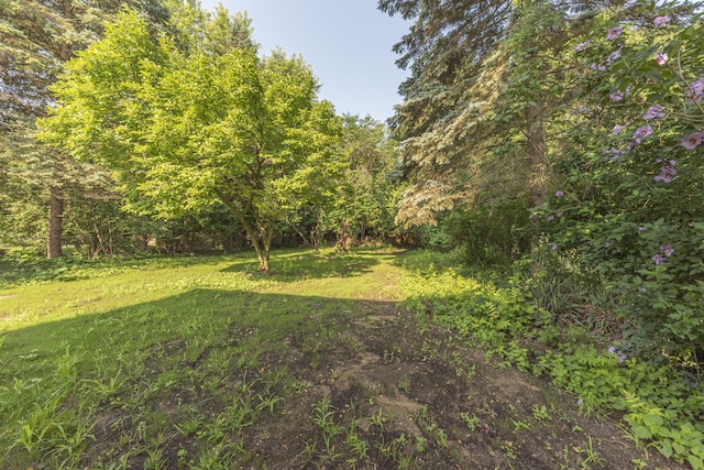 1001 Rue Deauville Blvd, Ypsilanti, MI 48198 - photo 40