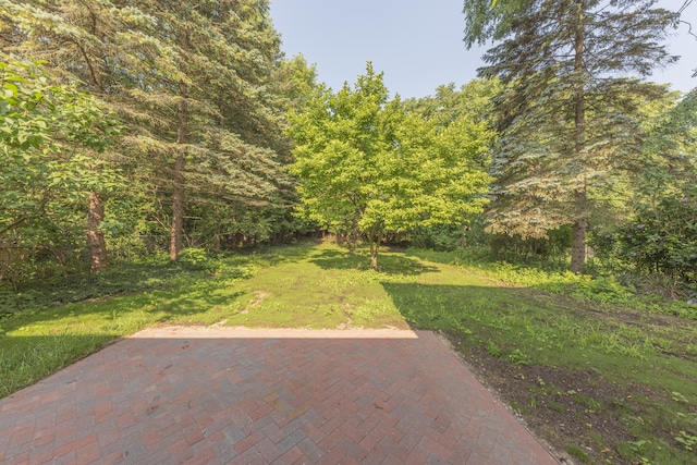 1001 Rue Deauville Blvd, Ypsilanti, MI 48198 - photo 39