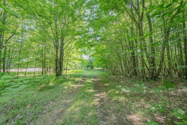 V/L 120th Ave, Hersey, MI 49639 - photo 1
