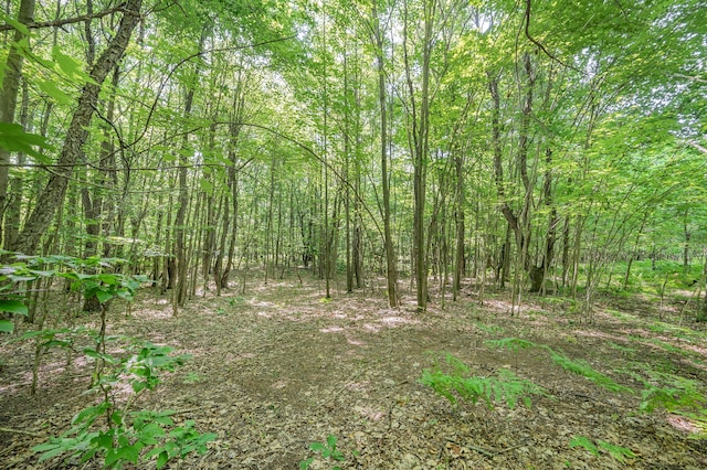 V/L 120th Ave, Hersey, MI 49639 - photo 2