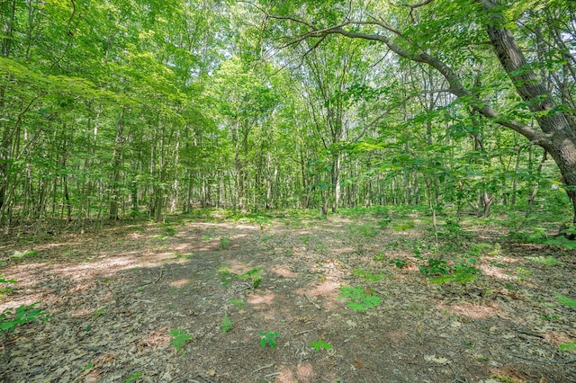 V/L 120th Ave, Hersey, MI 49639 - photo 4