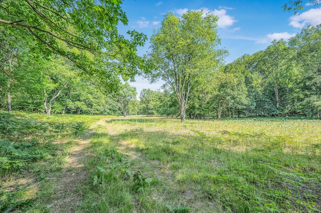 V/L 120th Ave, Hersey, MI 49639 - photo 5