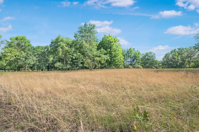 V/L 120th Ave, Hersey, MI 49639 - photo 6