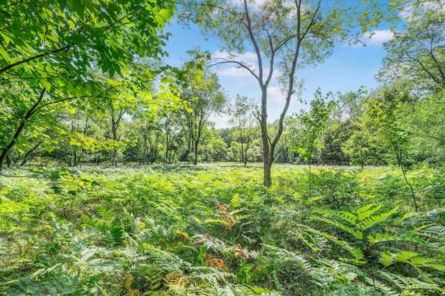 V/L 120th Ave, Hersey, MI 49639 - photo 7