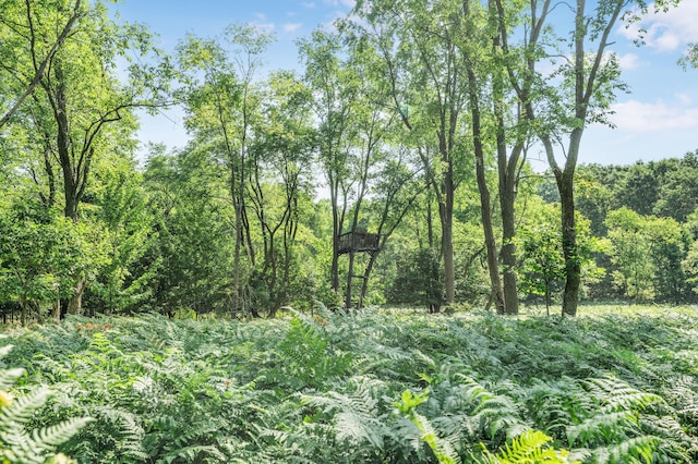 V/L 120th Ave, Hersey, MI 49639 - photo 8
