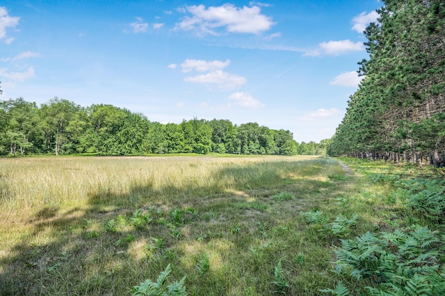 V/L 120th Ave, Hersey, MI 49639 - photo 10
