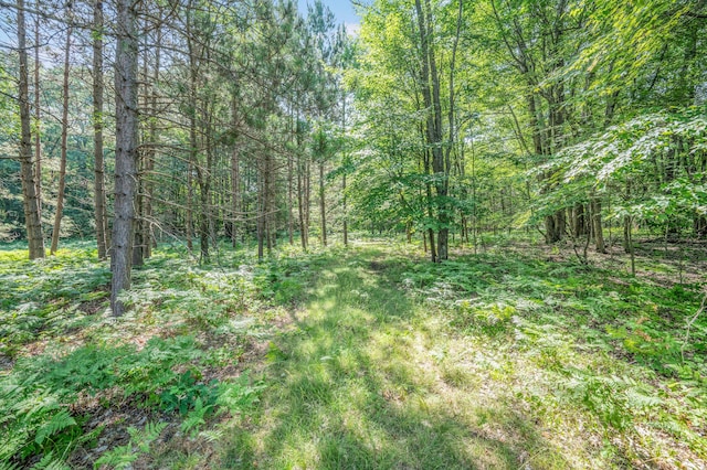 V/L 120th Ave, Hersey, MI 49639 - photo 12