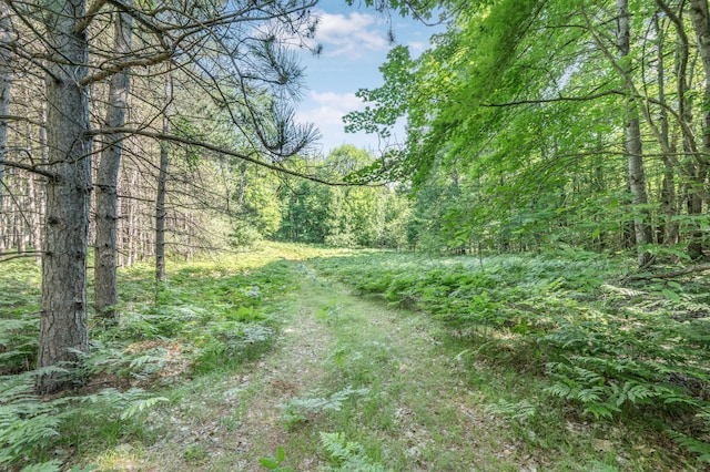 V/L 120th Ave, Hersey, MI 49639 - photo 14