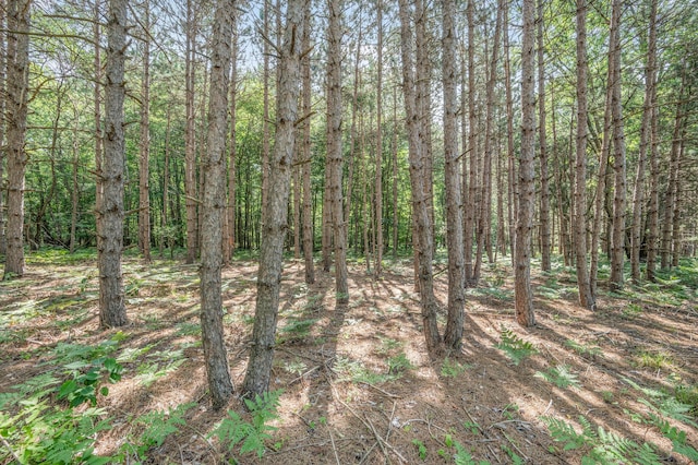 V/L 120th Ave, Hersey, MI 49639 - photo 16