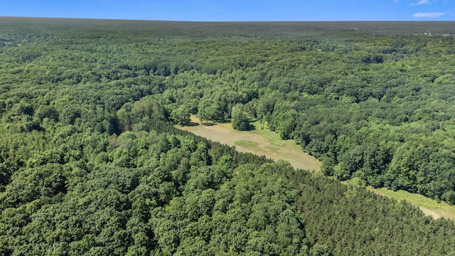 V/L 120th Ave, Hersey, MI 49639 - photo 17