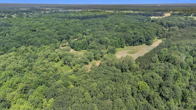 V/L 120th Ave, Hersey, MI 49639 - photo 19