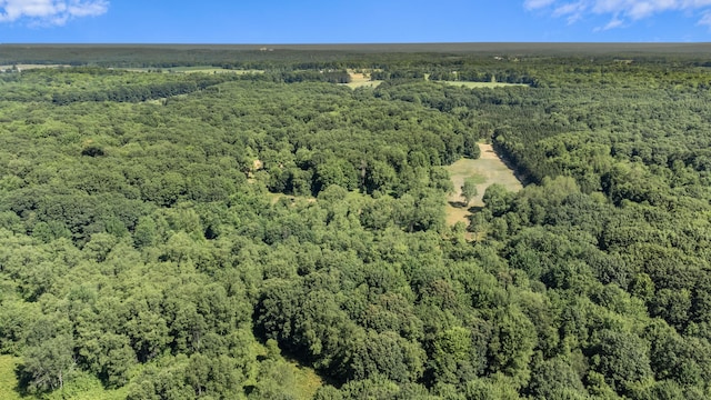 V/L 120th Ave, Hersey, MI 49639 - photo 20