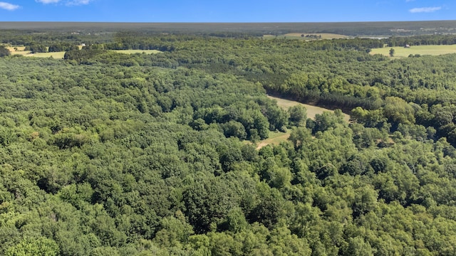 V/L 120th Ave, Hersey, MI 49639 - photo 22