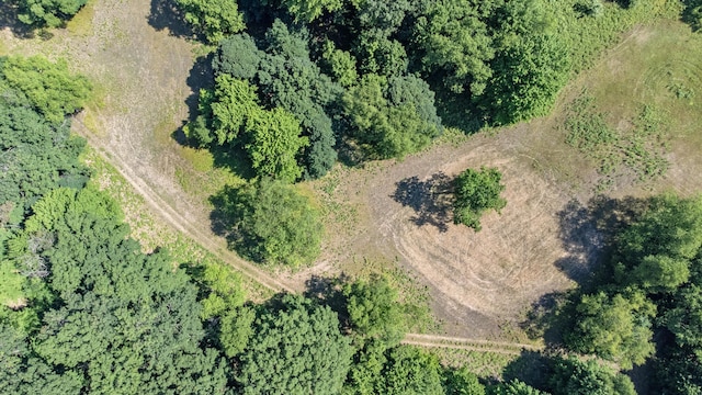 V/L 120th Ave, Hersey, MI 49639 - photo 23