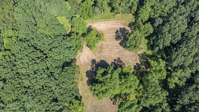 V/L 120th Ave, Hersey, MI 49639 - photo 24