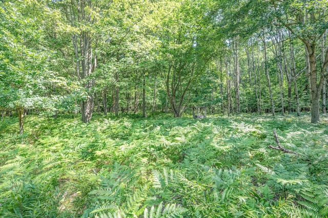 V/L 120th Ave, Hersey, MI 49639 - photo 26