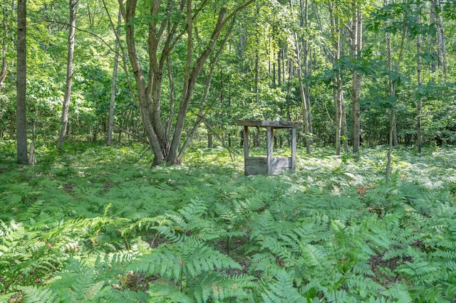 V/L 120th Ave, Hersey, MI 49639 - photo 27