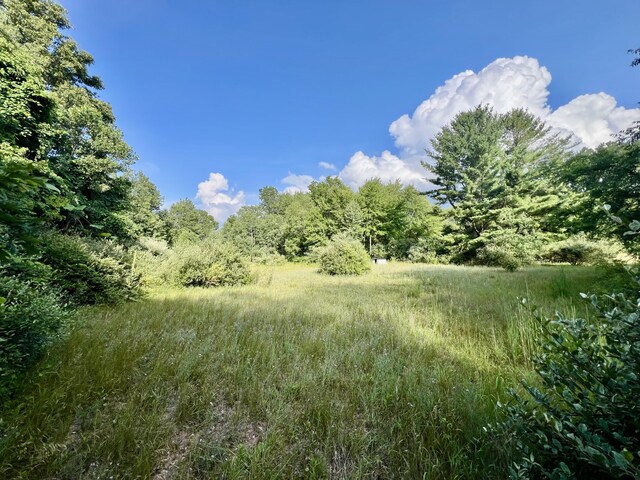 1143 38th St, Allegan, MI 49010 - photo 6