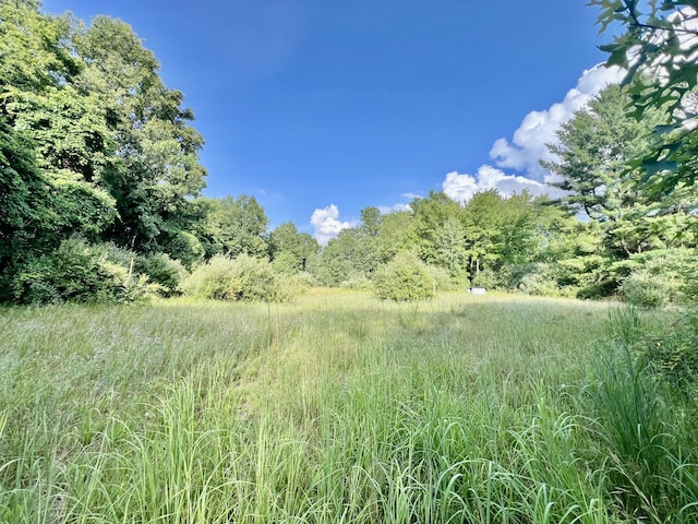 1143 38th St, Allegan, MI 49010 - photo 2
