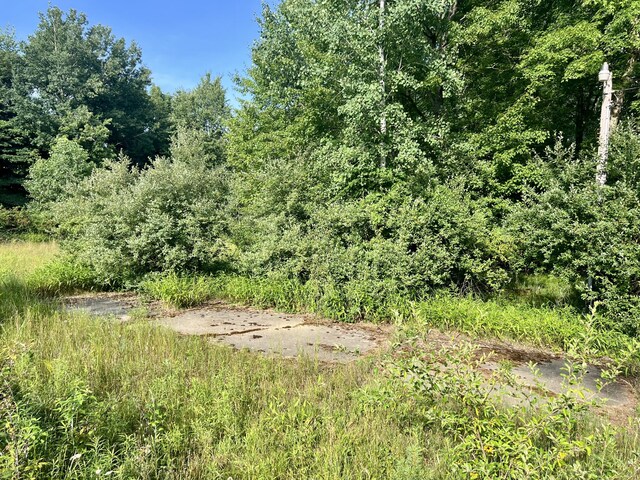 1143 38th St, Allegan, MI 49010 - photo 7