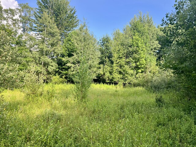 1143 38th St, Allegan, MI 49010 - photo 9