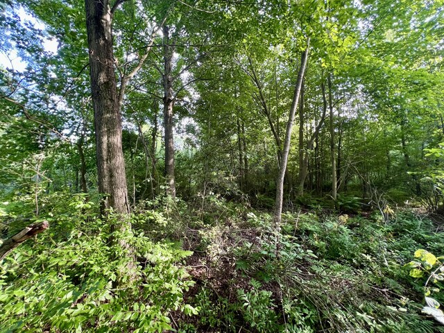1143 38th St, Allegan, MI 49010 - photo 11