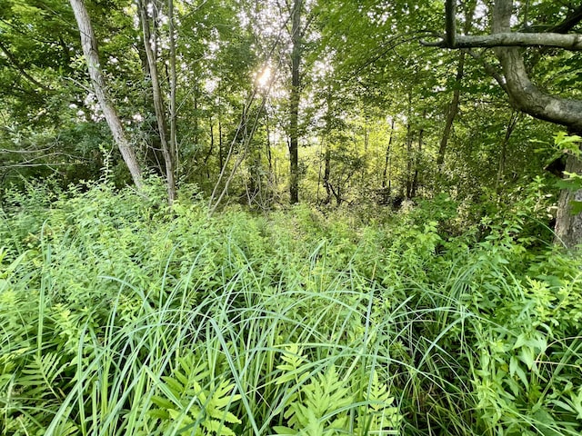 1143 38th St, Allegan, MI 49010 - photo 14